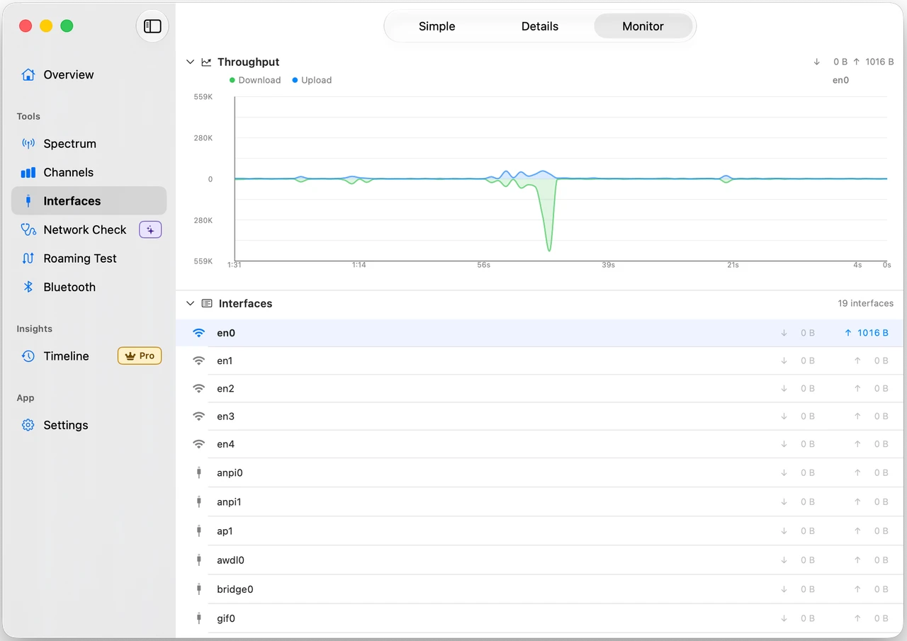Network interfaces view showing connection details and live throughput monitoring